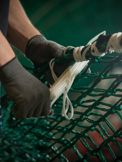 NOFI Fishery