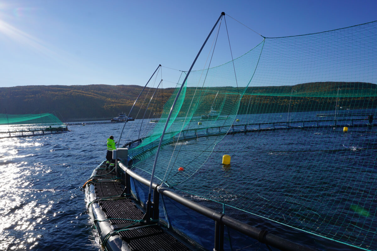 Produkter og tjenester til oppdrettsnæringen, utviklet i tett samarbeid med våre kunder