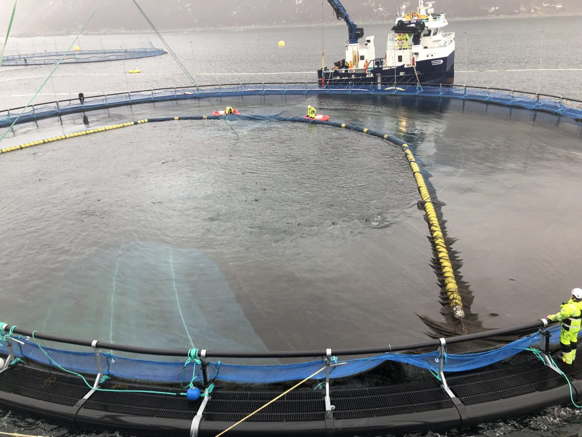 NOFI Leveringsline – en moderne kulerekke med en sømløs og solid midtseksjon for tryggere trenging.