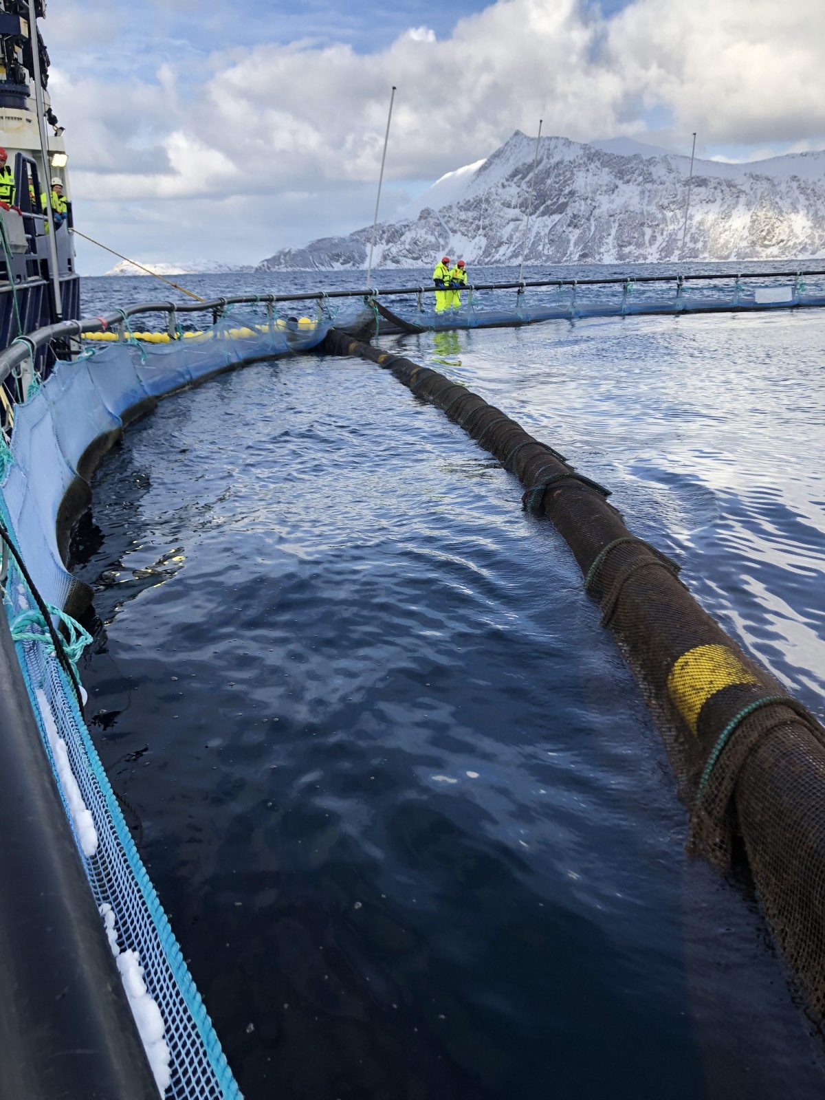 NOFI Leveringsline – en moderne kulerekke med en sømløs og solid midtseksjon for tryggere trenging.