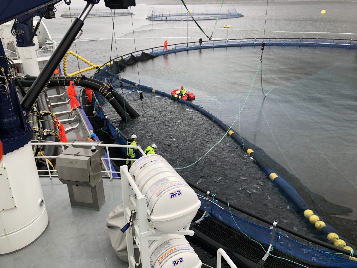 NOFI Leveringsline – en moderne kulerekke med en sømløs og solid midtseksjon for tryggere trenging.