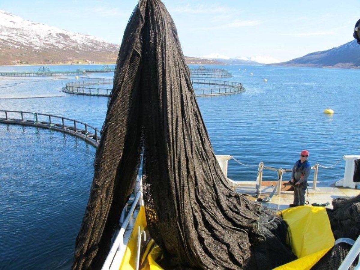 NOFI Miljøbag hindrer smittespredning ved transport av not fra anlegg til servicestasjon.