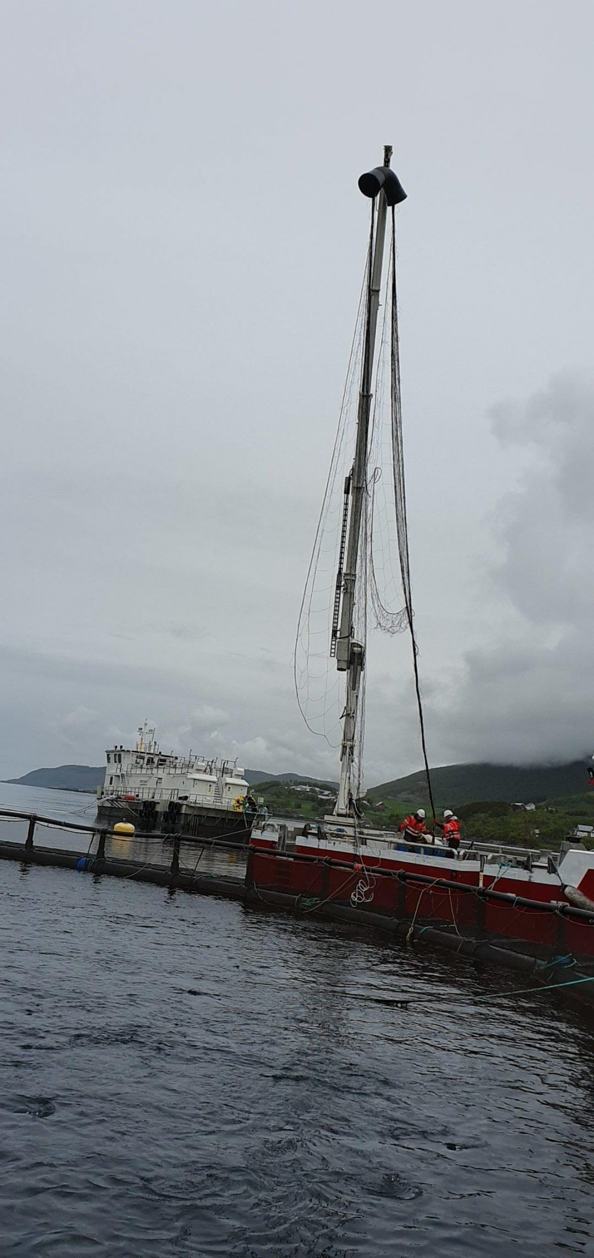Å fjerne fuglenettet innebærer ofte at nettet kommer ned i vannet og at fisk går seg fast. Med NOFI NettOpp unngår man det. NettOpp heises opp og inn i merda