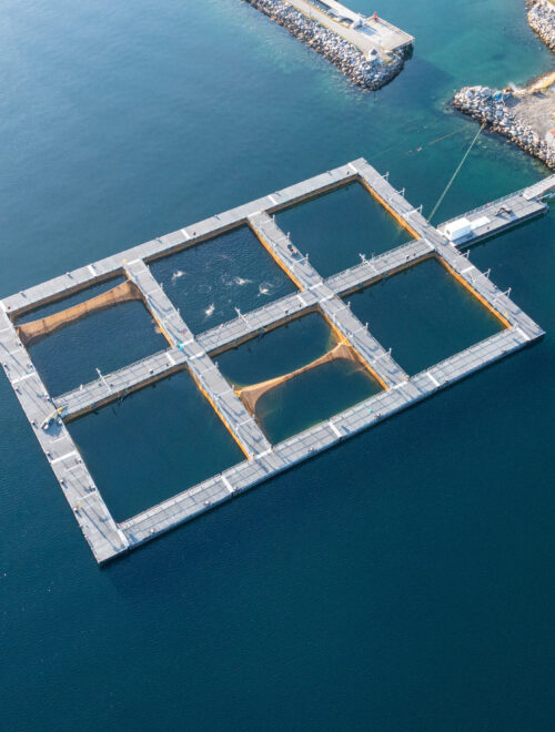 Aquaculture